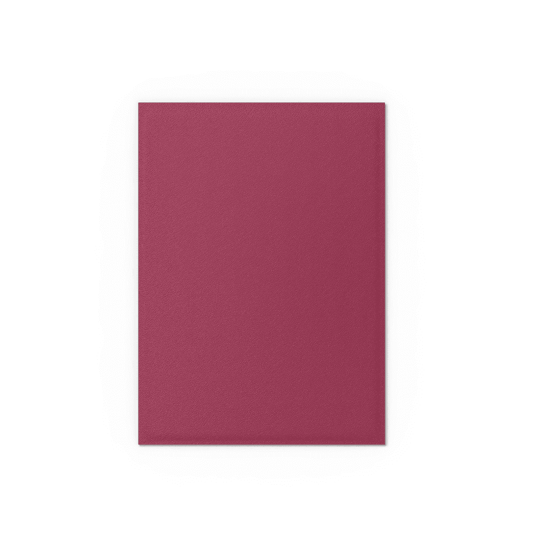 Dragon Shield Sleeves Dual Matte Pomegranate & Gold - (100)