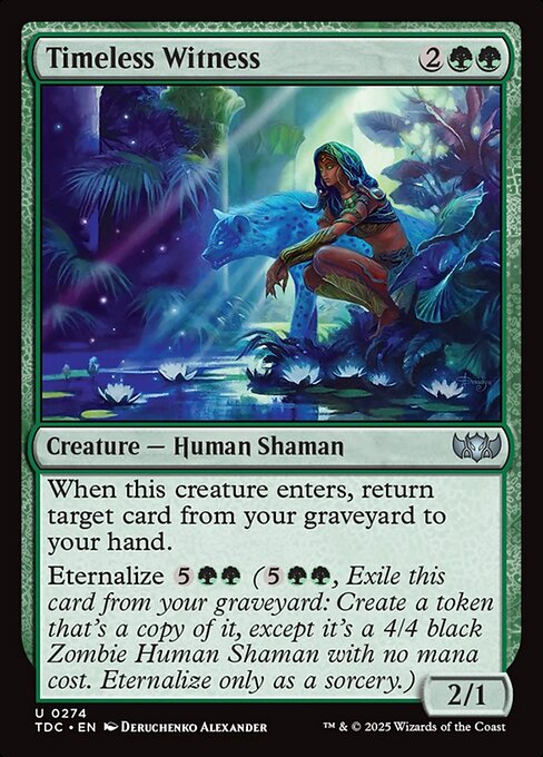 Timeless Witness - catalogue image