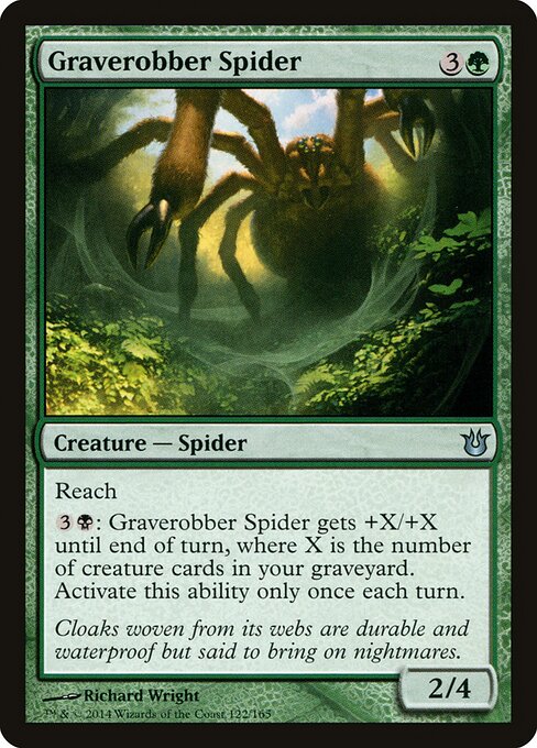 Graverobber Spider - catalogue image