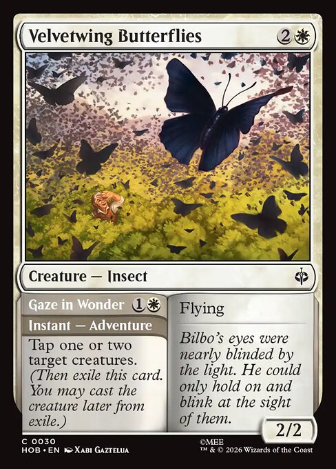Velvetwing Butterflies // Gaze in Wonder - catalogue image