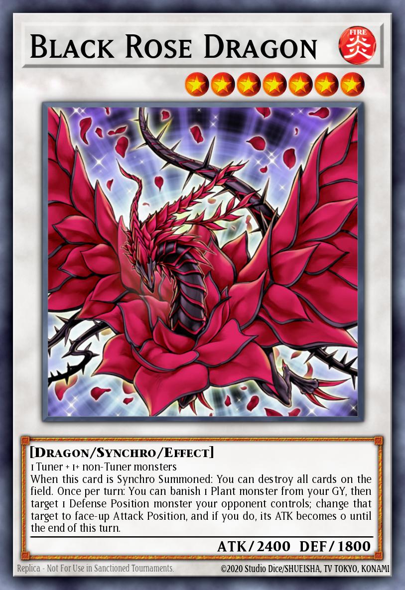 Black Rose Dragon - catalogue image