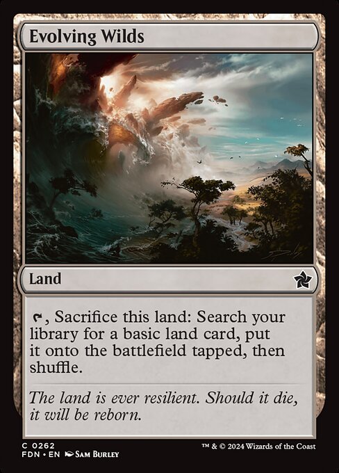 Evolving Wilds - catalogue image