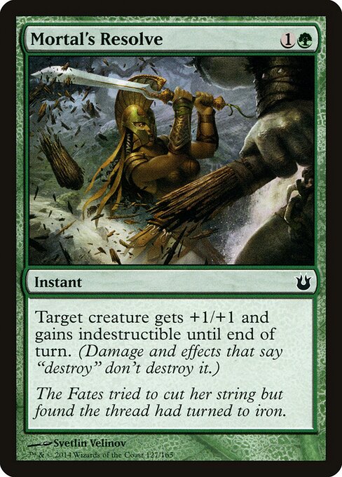 Mortal's Resolve - catalogue image