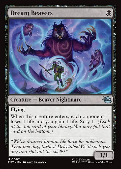 Dream Beavers - catalogue image