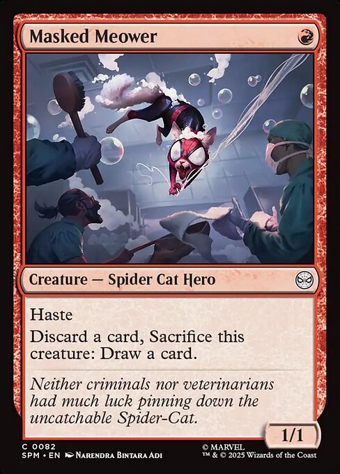 Masked Meower - catalogue image