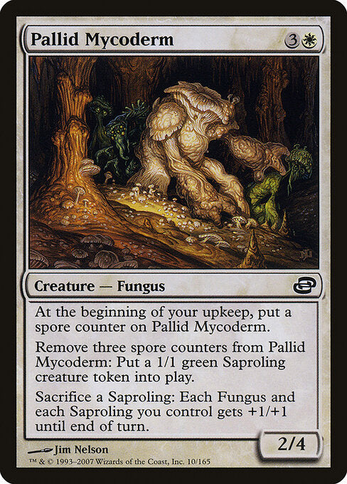 Pallid Mycoderm - catalogue image