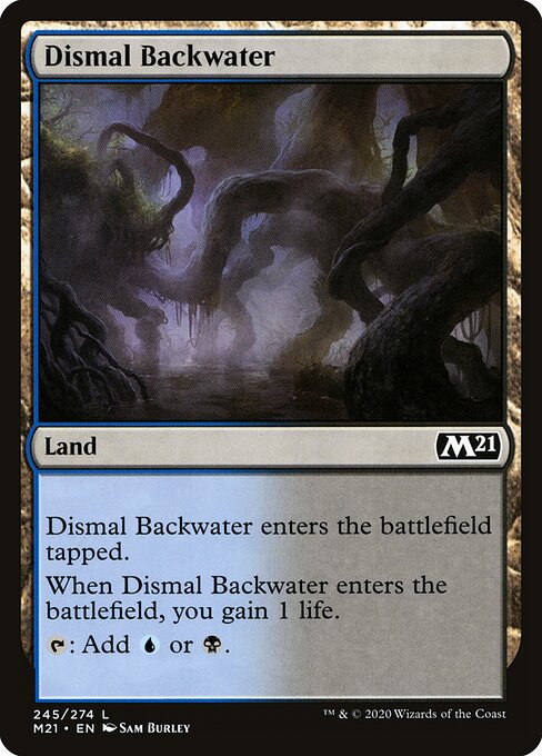 Dismal Backwater - catalogue image