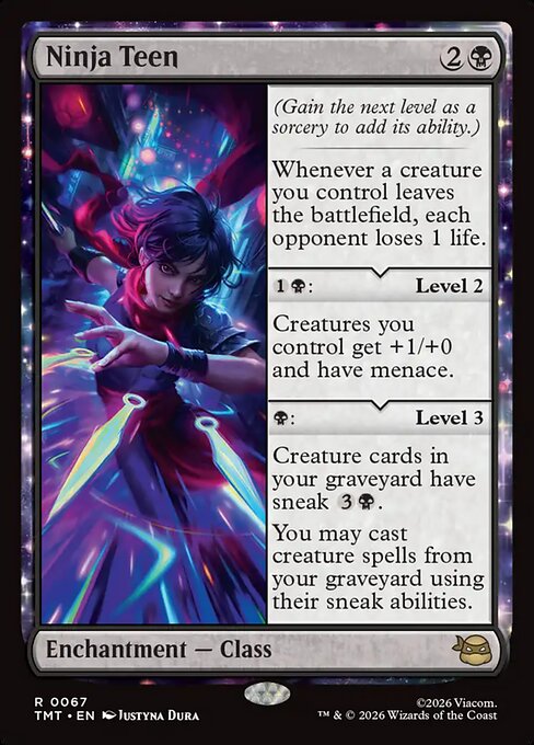 Ninja Teen - catalogue image