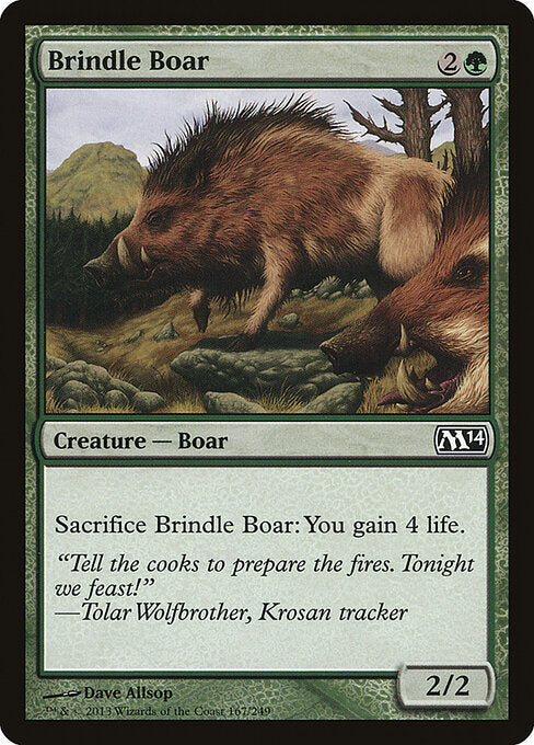 Brindle Boar - catalogue image