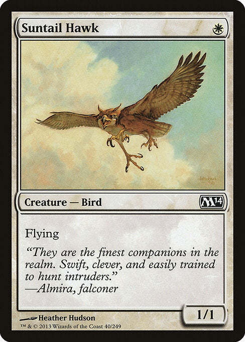 Suntail Hawk - catalogue image