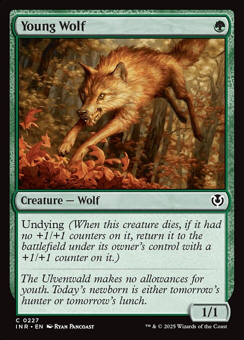 Young Wolf - catalogue image