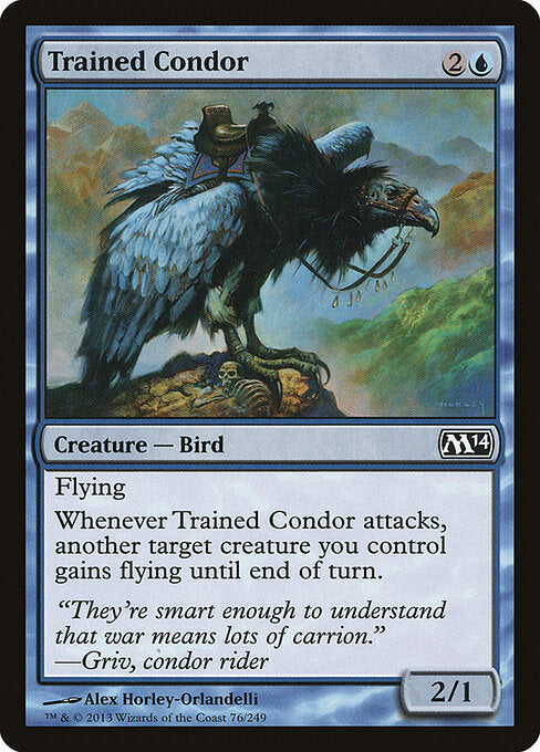 Trained Condor - catalogue image